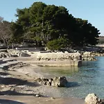 Kucan * بورات