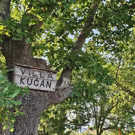 Kucan דירה פורת